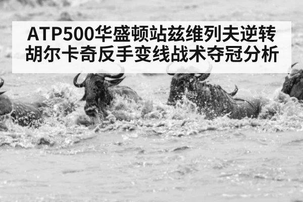ATP500华盛顿站兹维列夫逆转胡尔卡奇反手变线战术夺冠分析